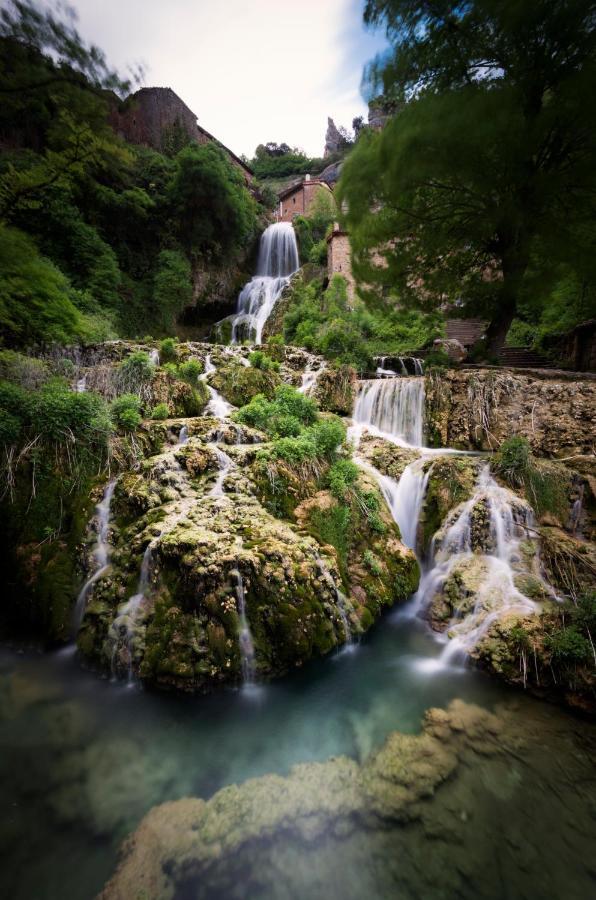 Centro De La Coruja Del Ebro *